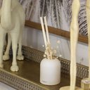 Ver imagem 4 de Óleo Difusor de Aromas Acqua Aroma Dia a Dia 120ml Bambu Chinês