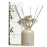 Óleo Difusor de Aromas Acqua Aroma Dia a Dia 120ml Bambu Chinês - 1