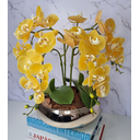 Ver imagem 3 de Arranjo Com 4 Orquídeas Amarela Vaso Dourado 28cm
