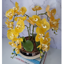 Ver imagem 2 de Arranjo Com 4 Orquídeas Amarela Vaso Dourado 28cm