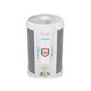 Ver imagem 3 de Ar Condicionado Split Hi Wall Springer Midea Airvolution 18.000 Btus Frio 220v