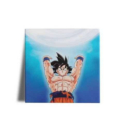 Quadro Decorativo Dbz Goku