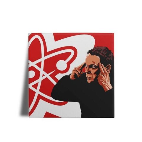 Quadro Decorativo The Big Bang Theory 07