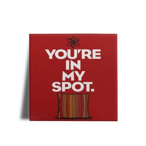 Quadro Decorativo The Big Bang Theory 05