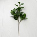 Ver imagem 5 de Kit 15 Peperômias Artificiais 65cm Folhagem Decorativa Realista