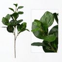 Ver imagem 4 de Kit 15 Peperômias Artificiais 65cm Folhagem Decorativa Realista