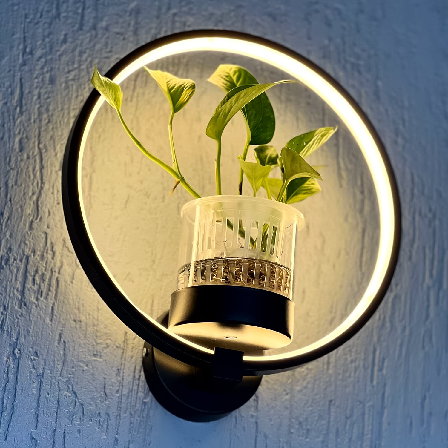 Arandela com Vaso de Plantas, Led 10w, Luz Amarela, Lexlight