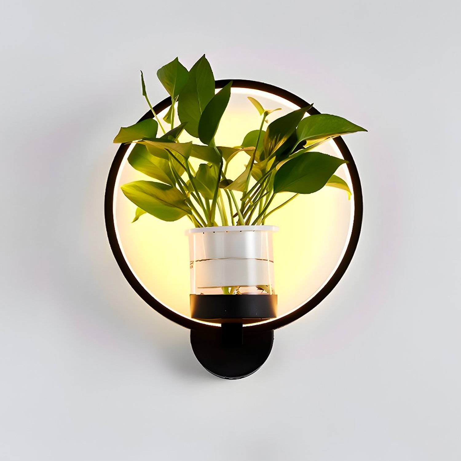 Arandela com Vaso de Plantas, Led 10w, Luz Amarela, Lexlight - 6