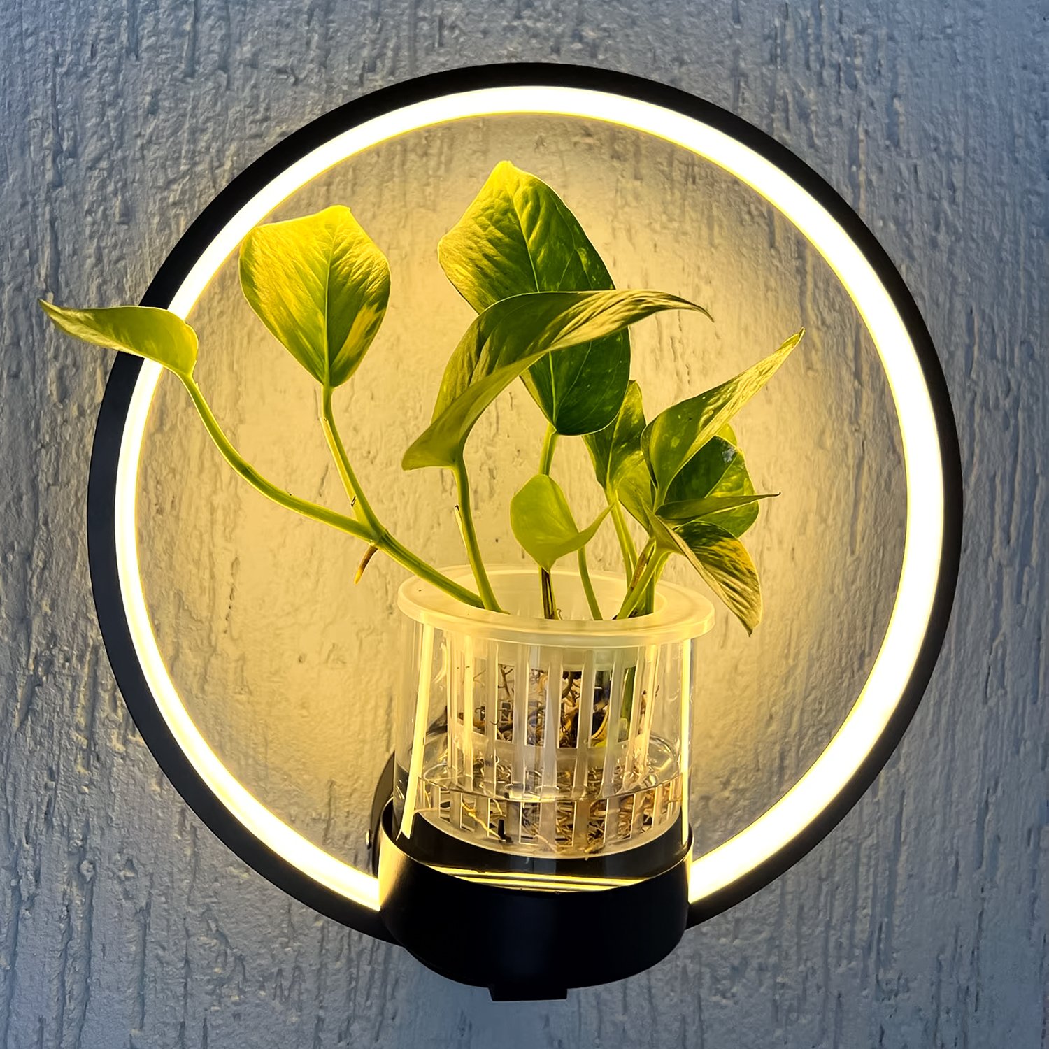 Arandela com Vaso de Plantas, Led 10w, Luz Amarela, Lexlight - 2