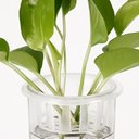 Ver imagem 7 de Arandela com Vaso de Plantas, Led 10w, Luz Amarela, Lexlight