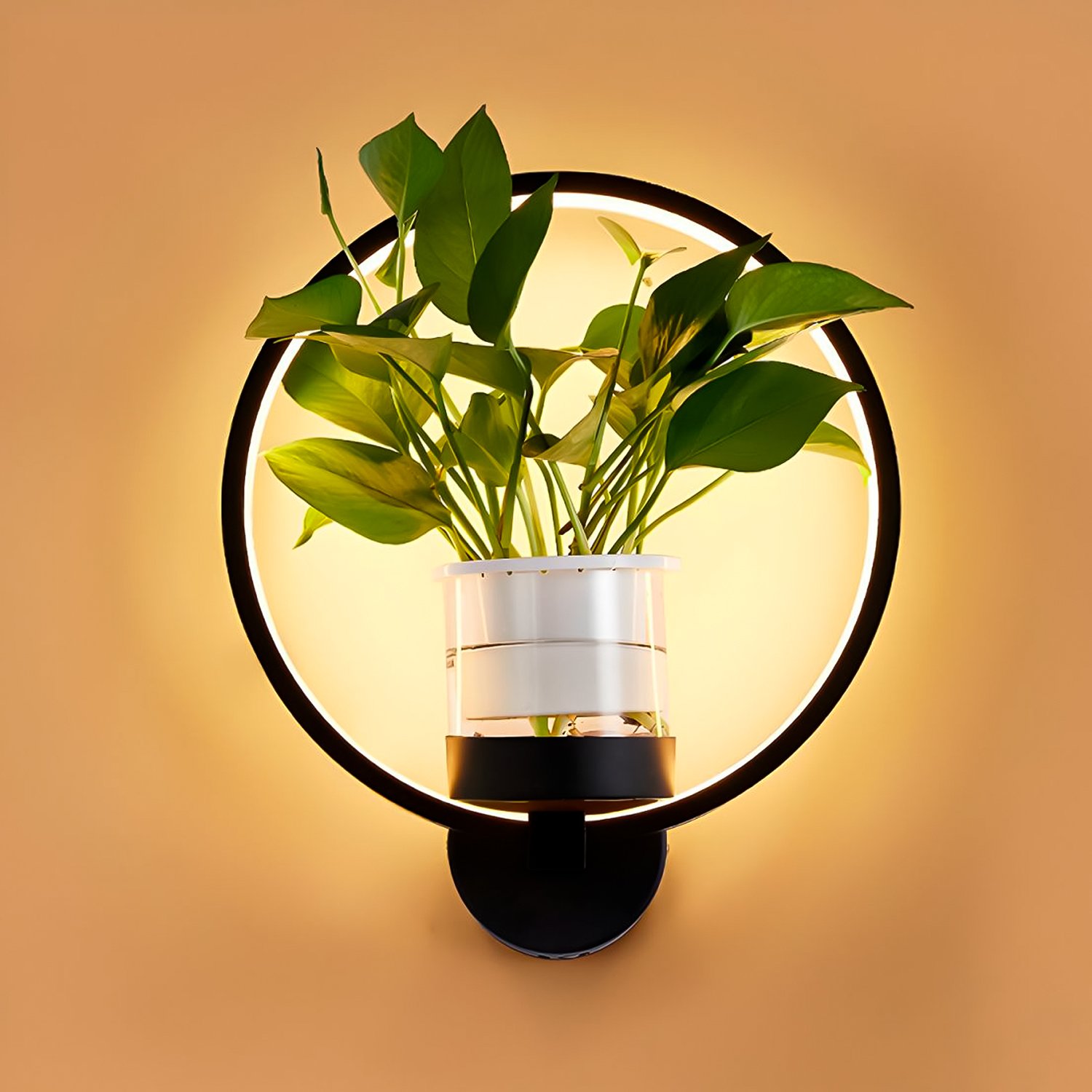 Arandela com Vaso de Plantas, Led 10w, Luz Amarela, Lexlight - 4