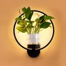 Arandela com Vaso de Plantas, Led 10w, Luz Amarela, Lexlight - 4