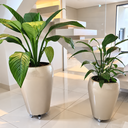Ver imagem 2 de Vaso Fibra de Vidro Cachepot 46cm Vietnamita Decorativo Sala Plantas Champagne