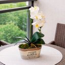 Ver imagem 1 de Arranjo Flores Orquídeas Decoração Centro Mesa Jardim 37cm Garden