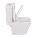 Ver imagem 6 de Vaso Sanitário Confort Plus Gold Line - Caixa Acoplada