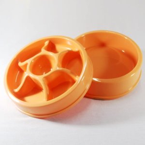 Kit Comed. E Bebedouro Roda Salmão