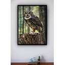 Ver imagem 2 de Quadro Decorativo Foto Coruja Tronco Árvore - 70x50cm:moldura Branca