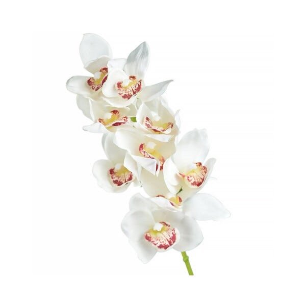 Orquídea Cymbidium 72 cm Branca e Amarela | MadeiraMadeira