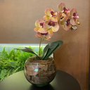 Ver imagem 3 de Arranjo de Orquídea Rosa Tigre Centro de Mesa no Vaso Transparente