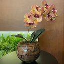 Ver imagem 1 de Arranjo de Orquídea Rosa Tigre Centro de Mesa no Vaso Transparente
