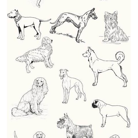 Papel De Parede Animais Para Petshop Com Fundo Branco