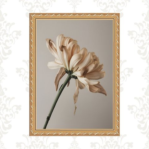 Quadro Moldura Dourada Flor Pétalas Bege 24x18cm:com Acetato