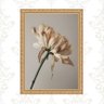 Quadro Moldura Dourada Flor Pétalas Bege 24x18cm:com Acetato - 1