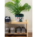 Ver imagem 4 de Sapateira de Madeira Reflorestada Pinus Tratado