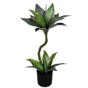 Ver imagem 1 de Pl Dracena X2 no Pote Verde