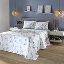 Ver imagem 3 de Jogo Cama King Döhler 180 Fios Premium Celeste