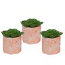 Kit 3 Porta Vaso e Velas Octógono Decoração Laranja - 1
