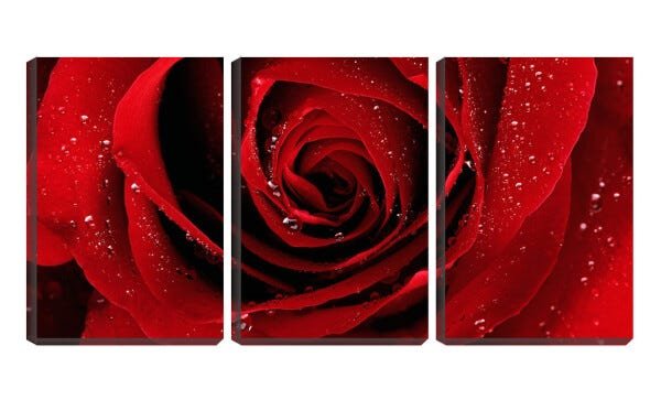 Quadro canvas 80x140 pingos de chuva na flor vermelha - 1