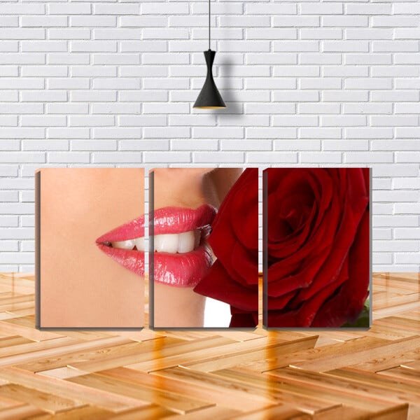 Quadro canvas 80x140 rosa vermelha entre dentes - 2