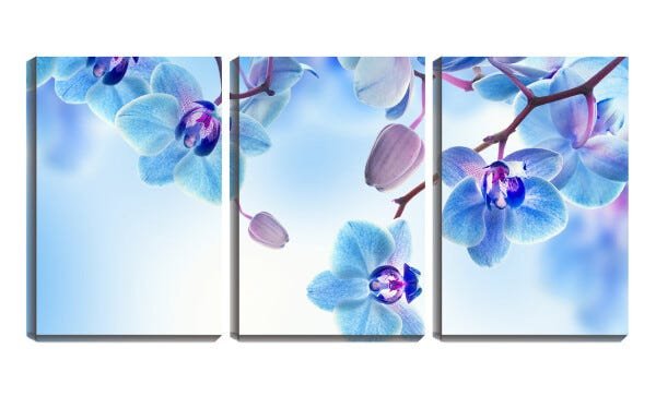 Quadro canvas 55x110 flores delicadas azuis - 1