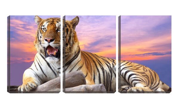 Quadro canvas 55x110 tigre ao pôr do sol - 1