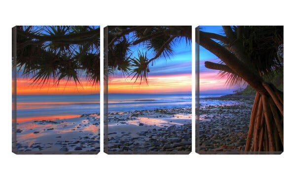 Quadro canvas 30x66 planta nativa na beira da praia - 1