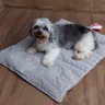 Colchonete Pet Akita Cinza e Grafite 90 cm - 6