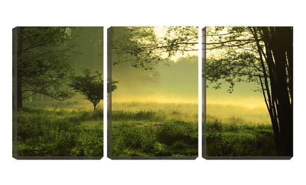 Quadro canvas 30x66 árvore do campo no amanhecer - 1