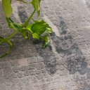 Ver imagem 4 de Tapete Adana Sala Quarto 300x400 Cm Tecido Relevo Decorativo - Cinza