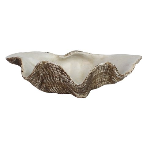 Escultura Decorativa Concha em Resina 25cm Ss0272 Btc