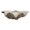 Ver imagem 1 de Escultura Decorativa Concha em Resina 25cm Ss0272 Btc
