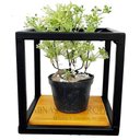 Ver imagem 3 de Suporte Plantas prateleiras Parede P/ 4 Vasinhos Super Promoção MINAS ARTE PRÓPRIA 4 suportes