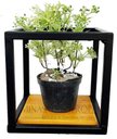 Ver imagem 3 de Suporte Plantas prateleiras Parede P/ 4 Vasinhos Super Promoção MINAS ARTE PRÓPRIA 4 suportes