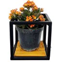 Ver imagem 4 de Suporte Plantas prateleiras Parede P/ 4 Vasinhos Super Promoção MINAS ARTE PRÓPRIA 4 suportes