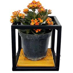 Suporte Plantas prateleiras Parede P/ 4 Vasinhos Super Promoção MINAS ARTE PRÓPRIA 4 suportes - 4