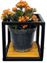 Ver imagem 4 de Suporte Plantas prateleiras Parede P/ 4 Vasinhos Super Promoção MINAS ARTE PRÓPRIA 4 suportes