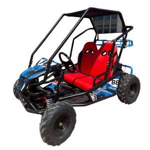 Mini Buggy 2 Assentos Gasolina 110cc 4 Tempos Criança e Adolecente Azul Importway Iwbug-110 Az