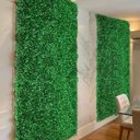 Ver imagem 7 de 22 Painéis Permanentes Plantas Buxinhos Quadros para Muro Inglês e Jardins Verticais Artificiais