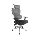 Ver imagem 1 de Cadeira de Escritório Ergonômica Presidente Tela Mesh W-46c
