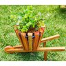 Carriola de Madeira com 1 Vaso para Plantas - 5